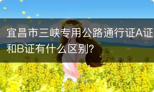 宜昌市三峡专用公路通行证A证和B证有什么区别？