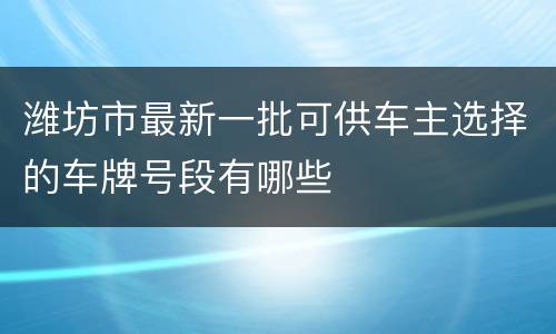 潍坊市最新一批可供车主选择的车牌号段有哪些