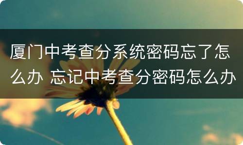 厦门中考查分系统密码忘了怎么办 忘记中考查分密码怎么办