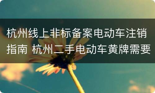 杭州线上非标备案电动车注销指南 杭州二手电动车黄牌需要备案吗