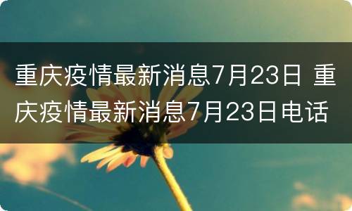 重庆疫情最新消息7月23日 重庆疫情最新消息7月23日电话