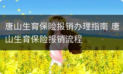 唐山生育保险报销办理指南 唐山生育保险报销流程