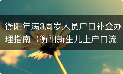 衡阳年满3周岁人员户口补登办理指南（衡阳新生儿上户口流程）