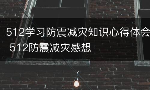 512学习防震减灾知识心得体会 512防震减灾感想