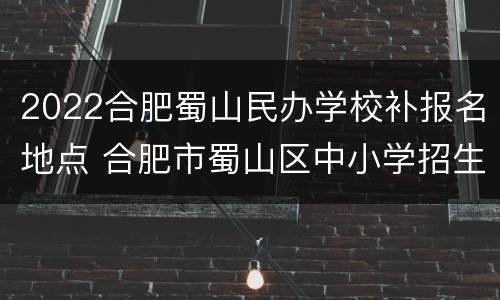 2022合肥蜀山民办学校补报名地点 合肥市蜀山区中小学招生2021