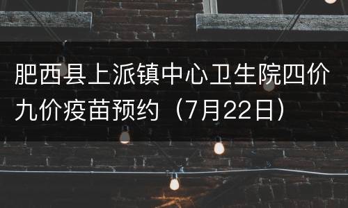 肥西县上派镇中心卫生院四价九价疫苗预约（7月22日）