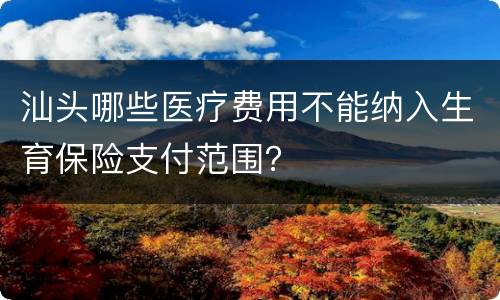 汕头哪些医疗费用不能纳入生育保险支付范围？