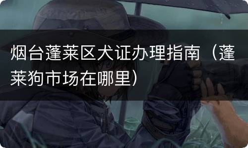 烟台蓬莱区犬证办理指南（蓬莱狗市场在哪里）
