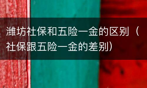 潍坊社保和五险一金的区别（社保跟五险一金的差别）