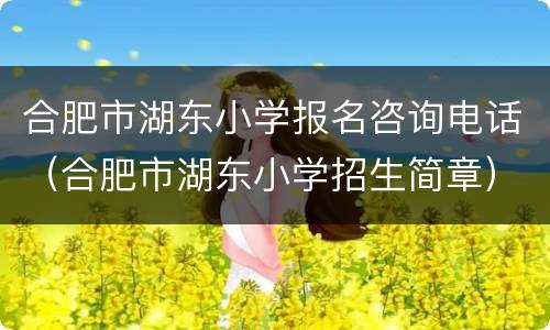 合肥市湖东小学报名咨询电话（合肥市湖东小学招生简章）