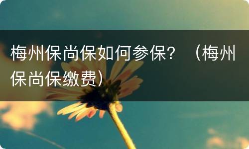 梅州保尚保如何参保？（梅州保尚保缴费）