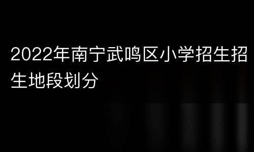 2022年南宁武鸣区小学招生招生地段划分