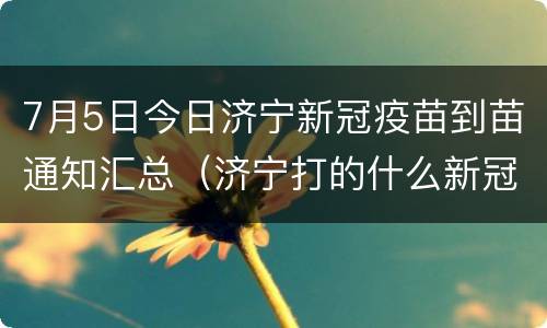 7月5日今日济宁新冠疫苗到苗通知汇总（济宁打的什么新冠疫苗）