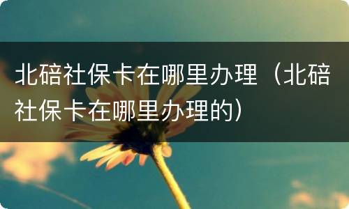 北碚社保卡在哪里办理（北碚社保卡在哪里办理的）