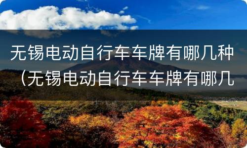 无锡电动自行车车牌有哪几种（无锡电动自行车车牌有哪几种类型）