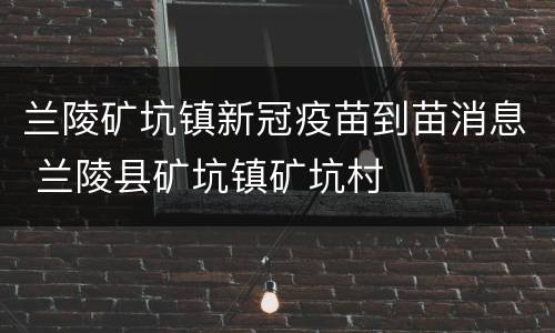 兰陵矿坑镇新冠疫苗到苗消息 兰陵县矿坑镇矿坑村