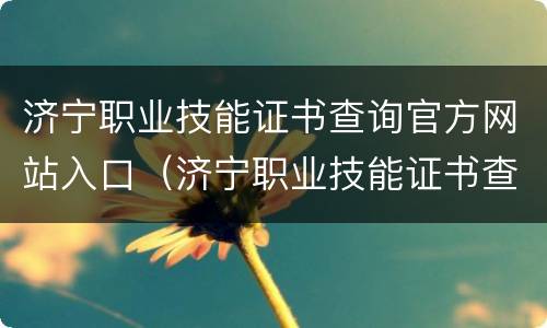 济宁职业技能证书查询官方网站入口（济宁职业技能证书查询官方网站入口电话）