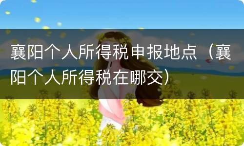 襄阳个人所得税申报地点（襄阳个人所得税在哪交）