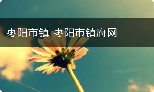 枣阳市镇 枣阳市镇府网