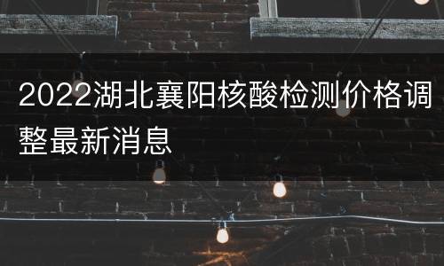 2022湖北襄阳核酸检测价格调整最新消息