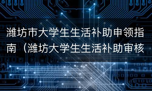 潍坊市大学生生活补助申领指南（潍坊大学生生活补助审核结果公示）
