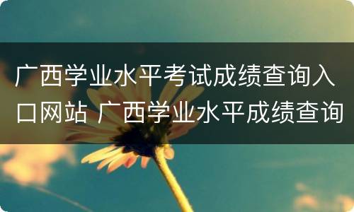 广西学业水平考试成绩查询入口网站 广西学业水平成绩查询官网