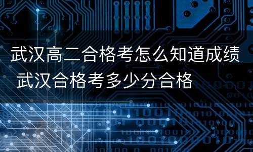 武汉高二合格考怎么知道成绩 武汉合格考多少分合格