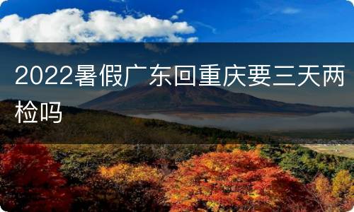 2022暑假广东回重庆要三天两检吗