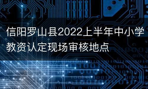 信阳罗山县2022上半年中小学教资认定现场审核地点