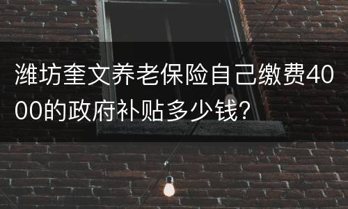 潍坊奎文养老保险自己缴费4000的政府补贴多少钱?