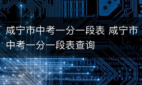 咸宁市中考一分一段表 咸宁市中考一分一段表查询