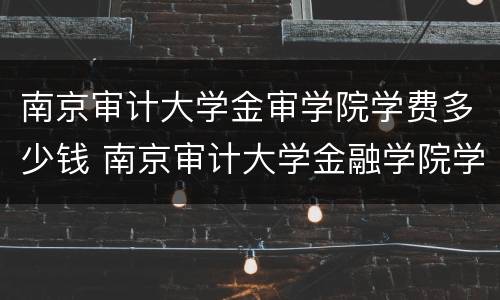南京审计大学金审学院学费多少钱 南京审计大学金融学院学费