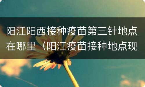 阳江阳西接种疫苗第三针地点在哪里（阳江疫苗接种地点现在有个打吗）
