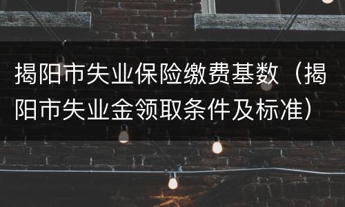 揭阳市失业保险缴费基数（揭阳市失业金领取条件及标准）