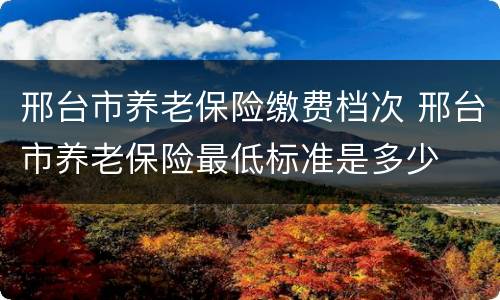 邢台市养老保险缴费档次 邢台市养老保险最低标准是多少