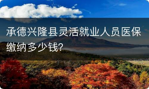 承德兴隆县灵活就业人员医保缴纳多少钱？