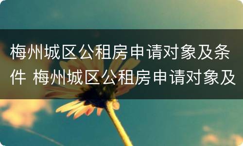 梅州城区公租房申请对象及条件 梅州城区公租房申请对象及条件表