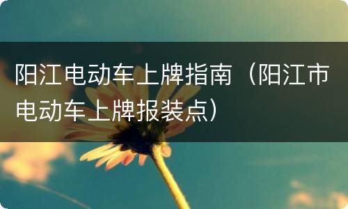 阳江电动车上牌指南（阳江市电动车上牌报装点）