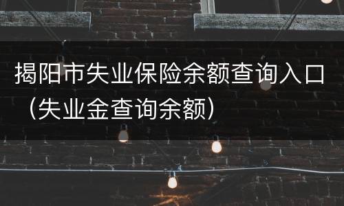 揭阳市失业保险余额查询入口（失业金查询余额）