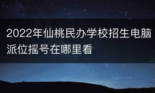 2022年仙桃民办学校招生电脑派位摇号在哪里看