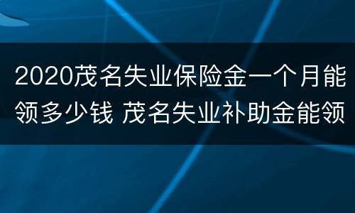 2020茂名失业保险金一个月能领多少钱 茂名失业补助金能领几个月,一个月多少钱