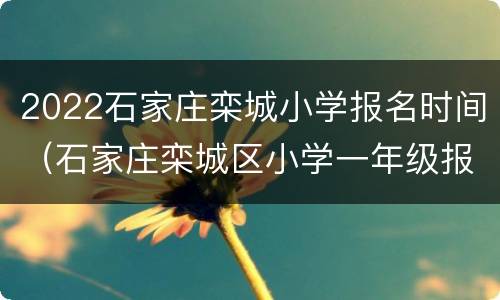 2022石家庄栾城小学报名时间（石家庄栾城区小学一年级报名时间）