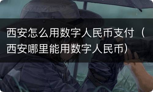 西安怎么用数字人民币支付（西安哪里能用数字人民币）