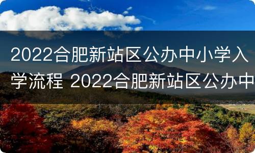2022合肥新站区公办中小学入学流程 2022合肥新站区公办中小学入学流程表