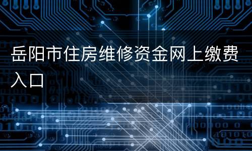 岳阳市住房维修资金网上缴费入口