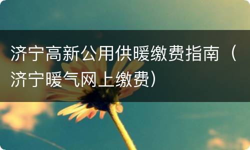 济宁高新公用供暖缴费指南（济宁暖气网上缴费）