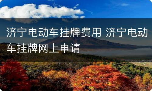 济宁电动车挂牌费用 济宁电动车挂牌网上申请