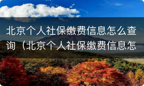 北京个人社保缴费信息怎么查询（北京个人社保缴费信息怎么查询电话）