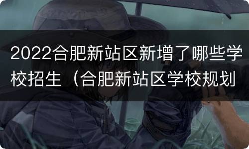 2022合肥新站区新增了哪些学校招生（合肥新站区学校规划）