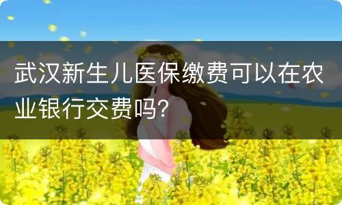 武汉新生儿医保缴费可以在农业银行交费吗？